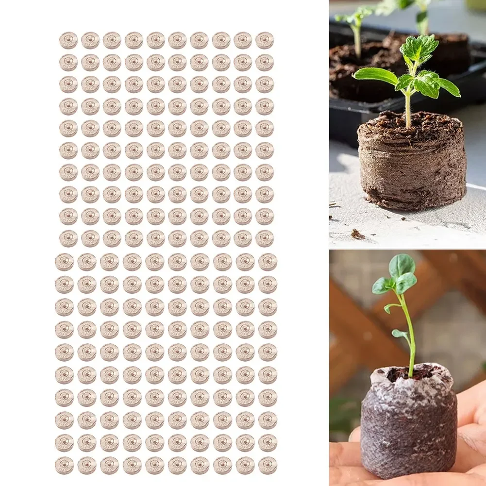 Substrate Coconut Fiber - 100 Stück komprimierte Kokosfaser-Pellets zum Anfangen