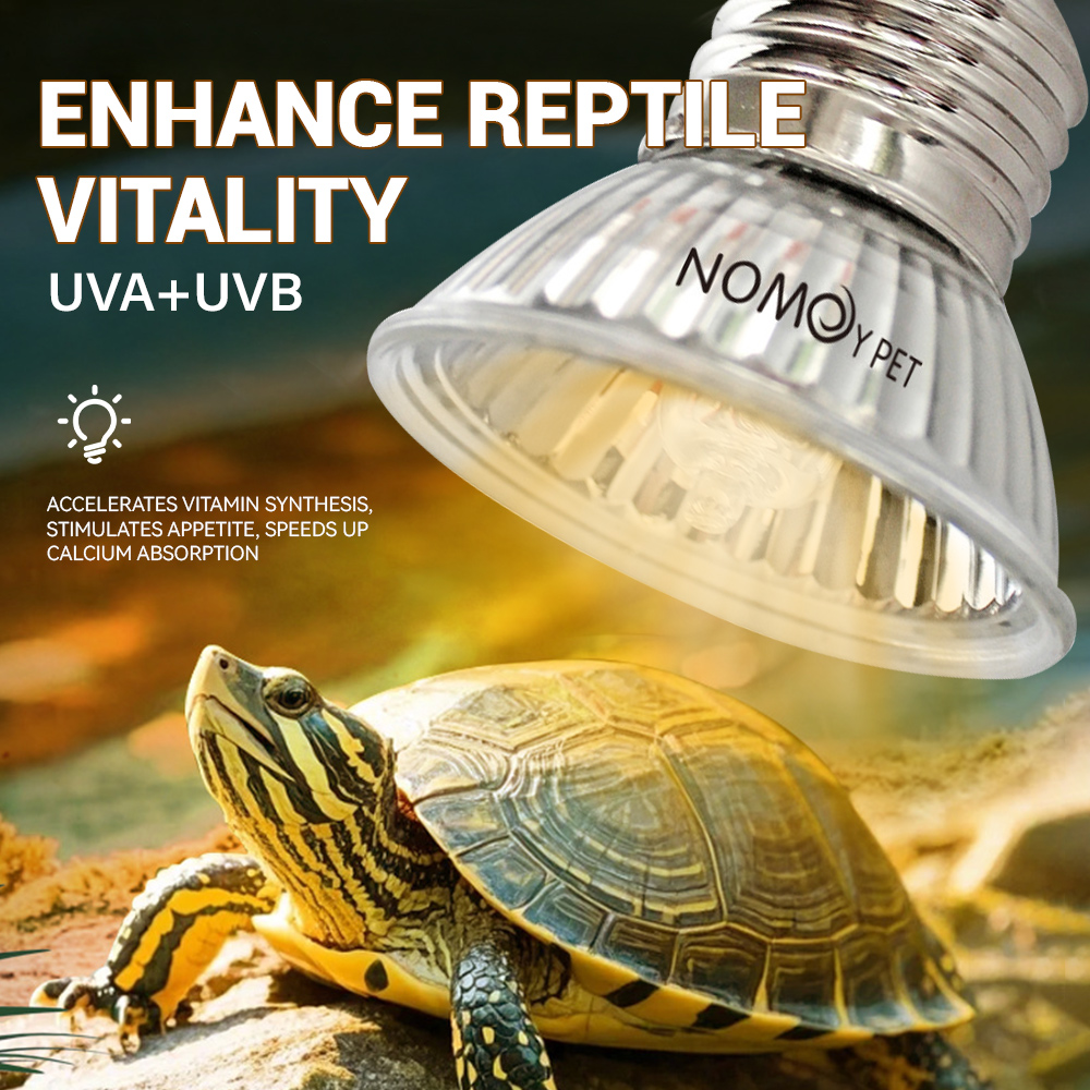 Reptilien UVA UVB 50W Lampe Vi – Vitamin D3 Reptile Bewertung und Preis