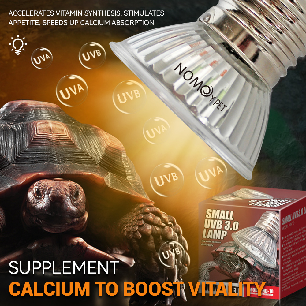Reptilien UVA UVB 50W Lampe Vi – Vitamin D3 Reptile Bewertung und Preis